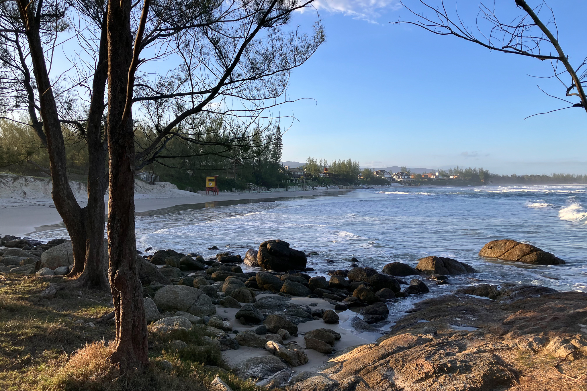 Rocky beach shoreline framed by pine trees, with waves rolling in and houses visible along the coast under clear blue sky