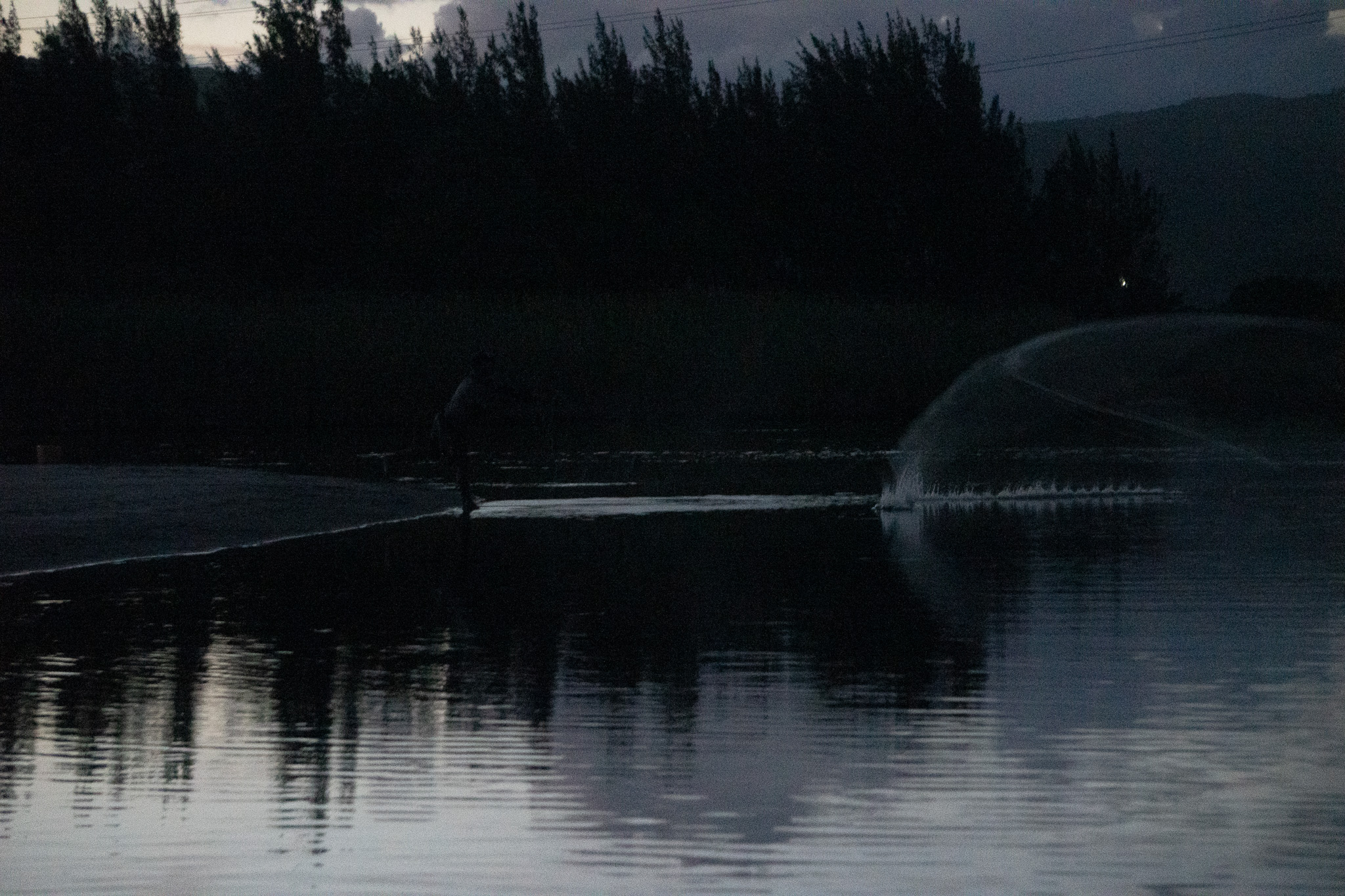 Silhouette of person fishing from shore at twilight with calm water reflections and dark tree-lined hills in background