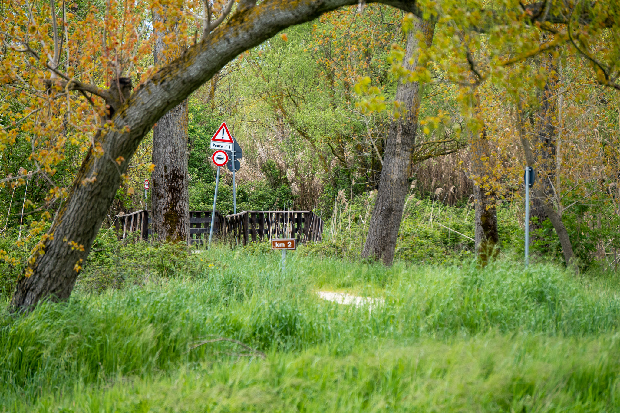 A narrow dirt trail surrounded by lush green vegetation, with a traffic sign and a rustic wooden bridge visible through the trees.