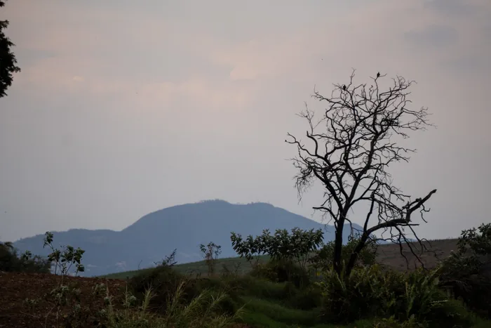 A bare tree silhouetted against the dusky sky with a forested mountain in the background, capturing the serene landscape of Monte Alegre do Sul at twilight.