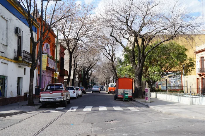 A quiet Buenos Aires street in autumn lined with bare-branched trees and colorful low-rise buildings, with parked cars and a truck on the empty road.